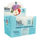 Integra Boost 2-Way Humidity Control Terpinolene Terpenes 62% RH - 67 Grams (12pcs/display)