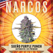 Narcos Sword of Boliávar Feminized (3 seeds pack)