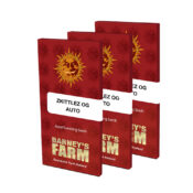 Barney's Farm Zkittlez OG Auto (3 seeds pack)