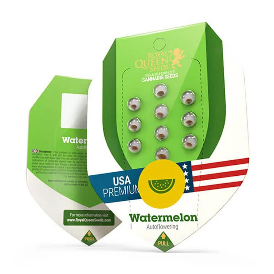 Royal Queen Seeds Watermelon Auto autoflowering cannabis seeds (5 seeds pack)