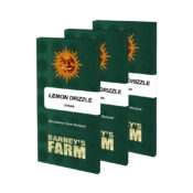 Barney's Farm Lemon Drizzle feminized cannabis seeds (3 seeds pack)