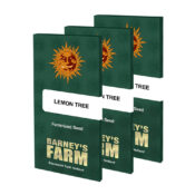 Barney's Farm Lemon Tree feminized cannabis seeds (3 seeds pack)