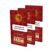 all'ingrosso-barneys-farm-anguria-zkittlez-auto-autofiorente-semi di cannabis-3-semi-pack-1