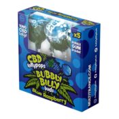 Bubbly Billy Buds CBD Lollipops Blue Raspberry 10mg CBD 5pcs Per Pack 12packsdisplay Wholesale 1 1