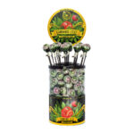 Cannabis Lollipops Strawberry Haze (100pcs/display)